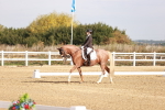 SBM_016856