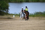 WJ6_9134