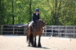 WJ6_0834