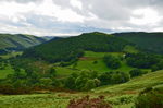 RSPB Dinas, upper Twyi valley, Carmarthenshire