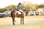 SBM_008989