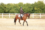 SBM_001456