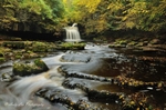 Autumns Flow