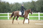LAD_3626