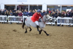 SBM_003964