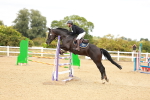 SBM_007148