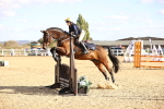 SBM_003234