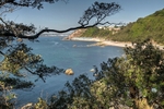 Meadfoot Beach Chalets through the trees along the coast path