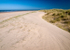 Blakeney Point (01)