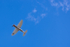 _MG_0223 2