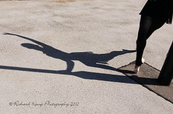 Dance Project, Hull. portfolio