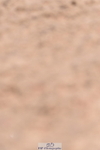 230520A-130221-00464