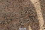 230906A-111110-00139