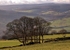 Bradfield Dale (01)
