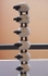 Sheep column