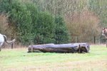 WJ6_4780