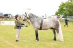 SBM_00652
