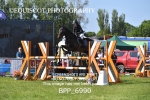 BPP_6990