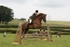 JMB_4595