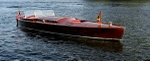 Whippet23-3029