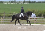 BPP_6604