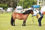 SBM_00525