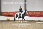 BPP_8337