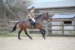 SBM_004740