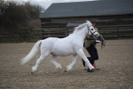 SBM_003958