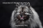 equiscot1761