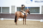 SBM_001558