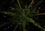 Tree Canopy at night