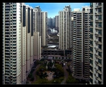 Concrete Canyon