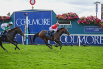 230824-Race 4-Bradsell-9431