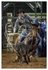 Rodeo Portfolio - Tie Down 01
