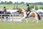 SBM_17595