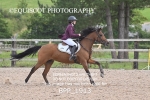 BPP_1913