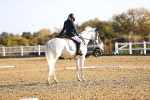 SBM_009040