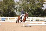 SBM_03703