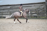 SBM_007064