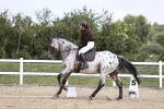 SBM_016847