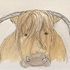 Highland cow