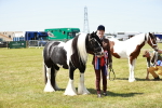 SBM_05524