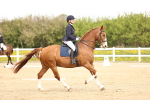 SBM_007449