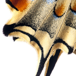 ITA_PHD_20111004-018