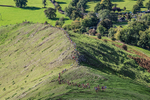 Ilam-42