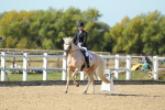 SBM_001357