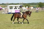 SBM_09218