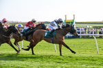 080426-Race 7-Sir Garfield-1212