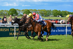 120526-Race 4-Dandy Dinmont-8278